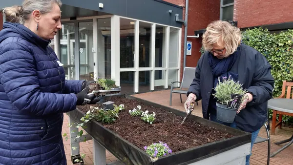 De Haven zoekt hulp in Beleeftuin tijdens NLdoet
