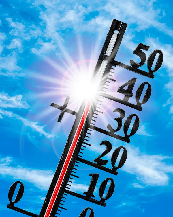 De Haven roept op: let op elkaar bij warmte